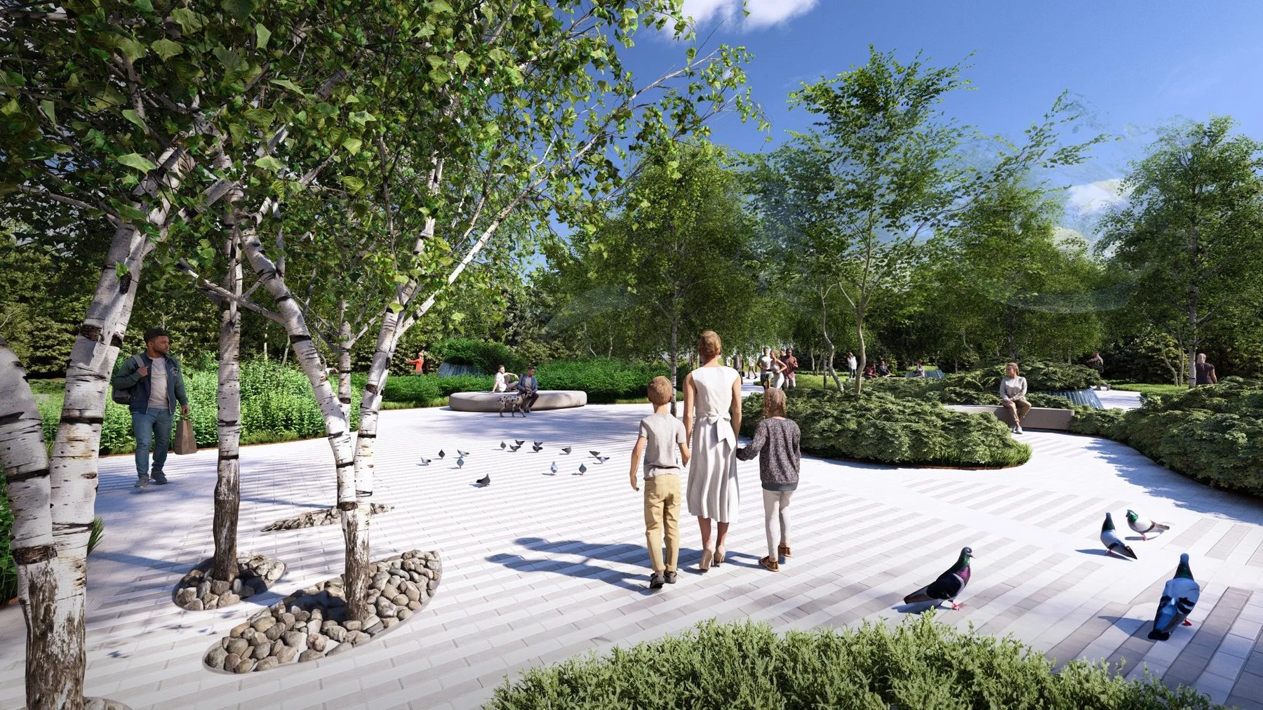 pathways and birch tree grove in pebbles