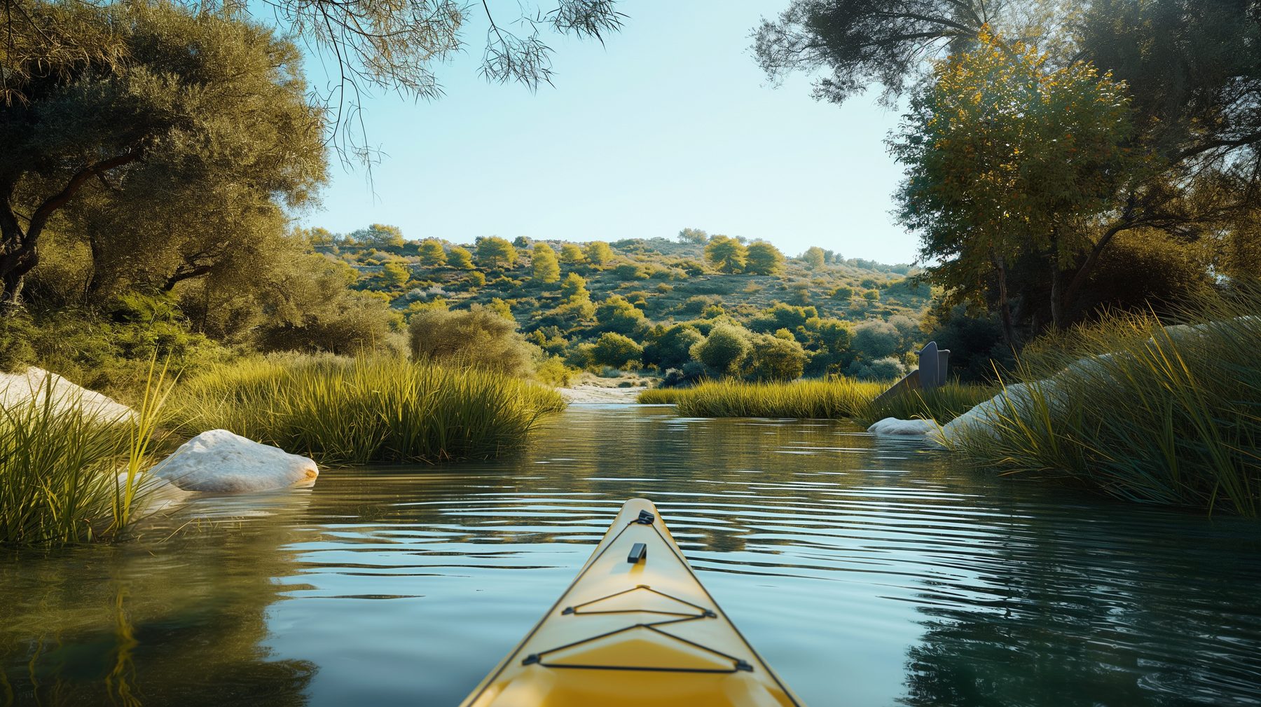 Kayak 01.png